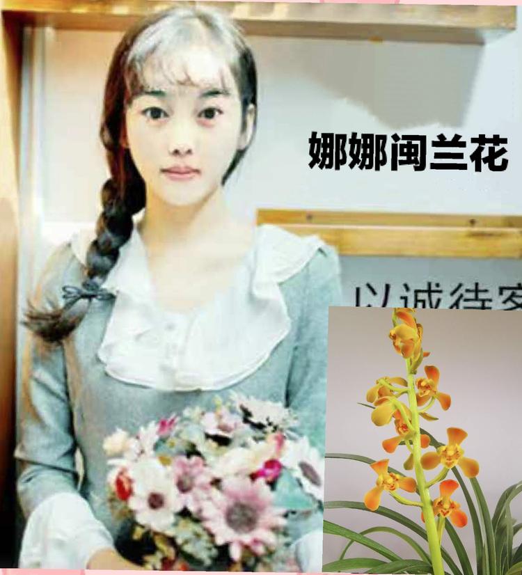 南靖县娜娜闽兰花种植场的小店个体店