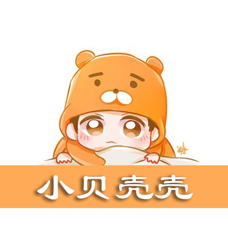 小贝壳壳