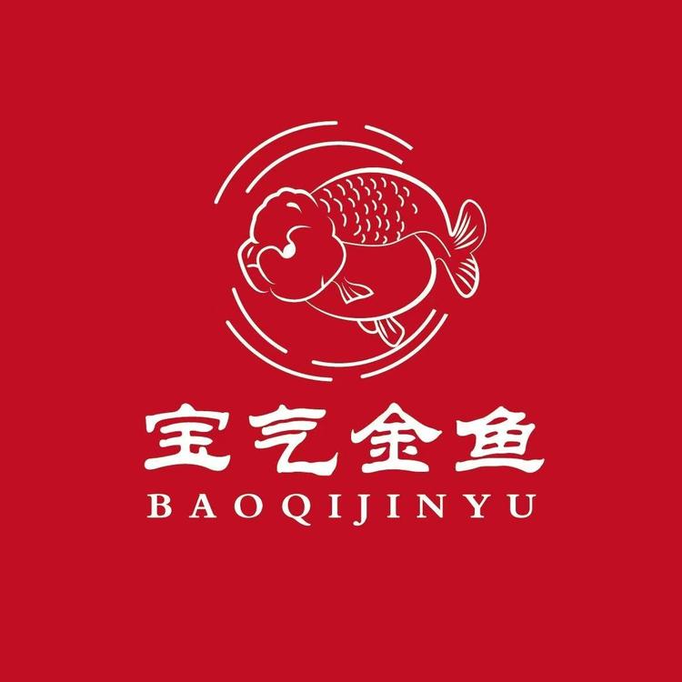 济南宝气金鱼