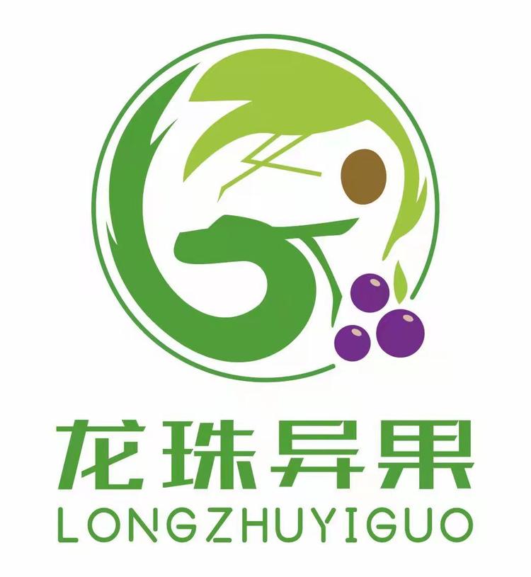 龙珠异果