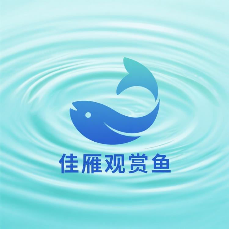 佳雁观赏鱼甄选