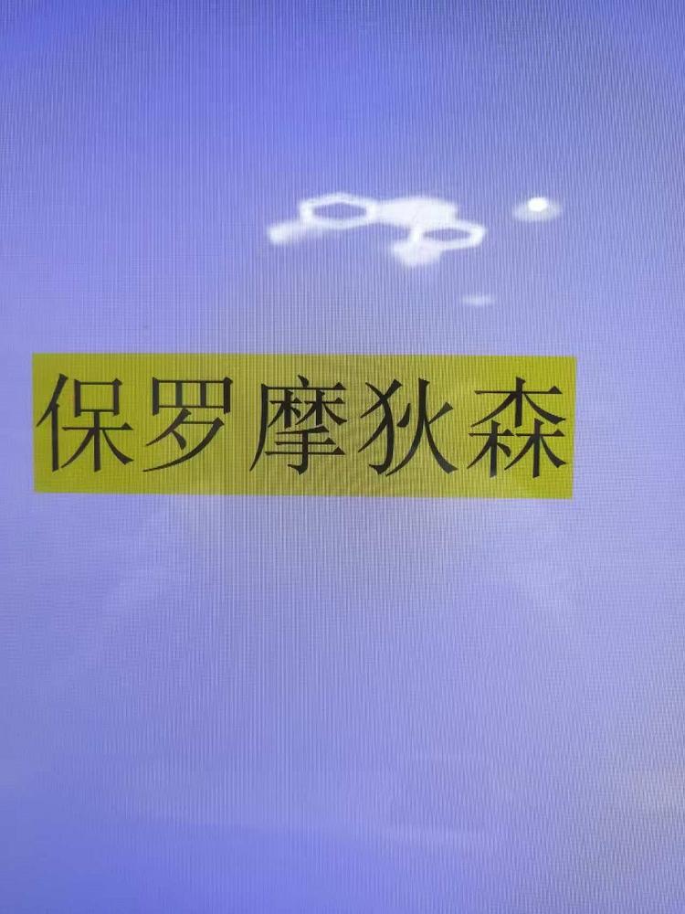 WZH保罗国际店