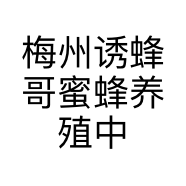 梅州诱蜂哥蜜蜂养殖中心的小店