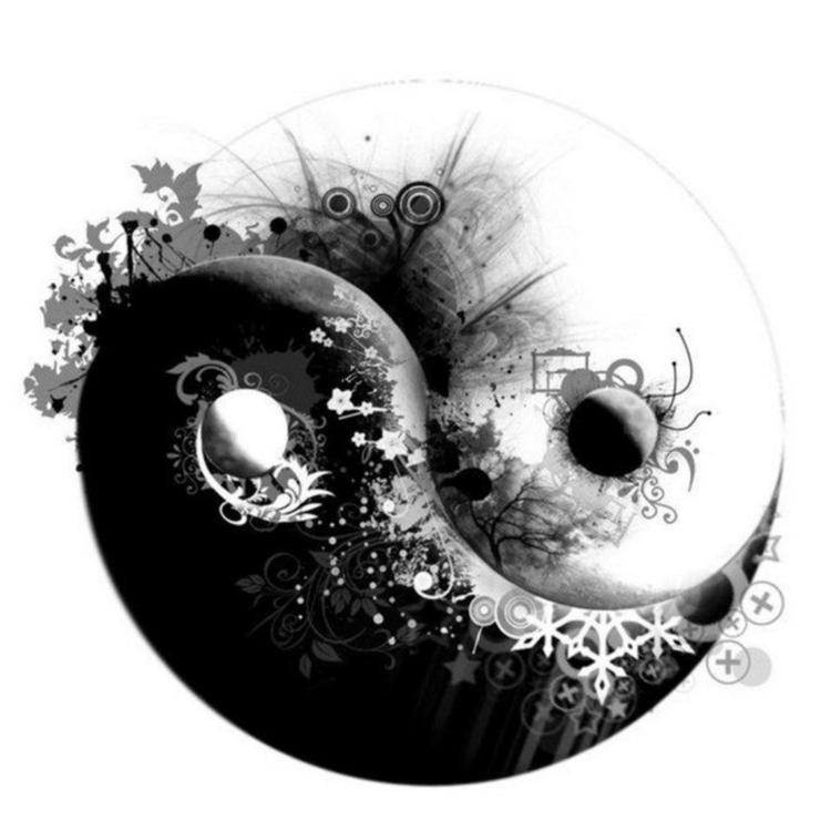 潇尔滋补专营店