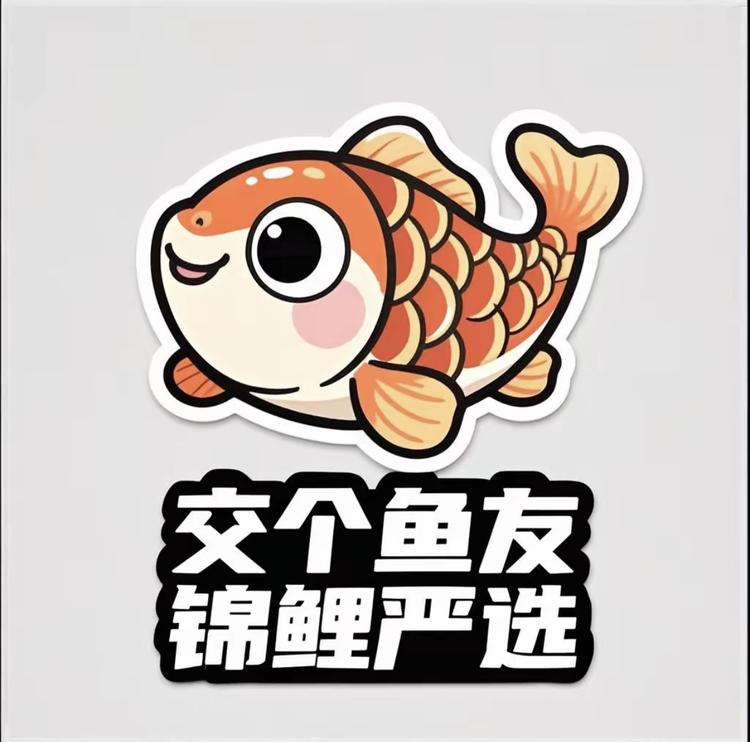 交个鱼友锦鲤严选