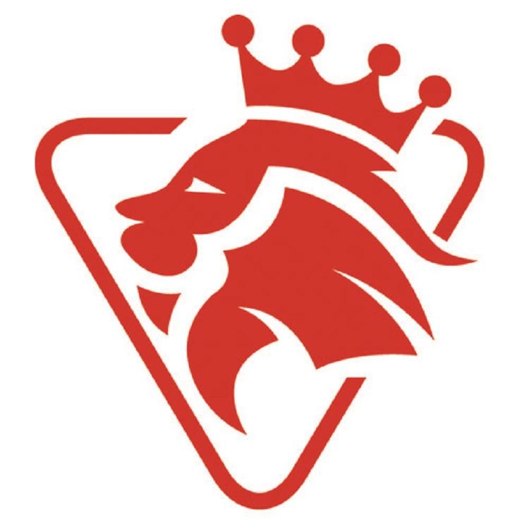 冠边酷手工台球杆