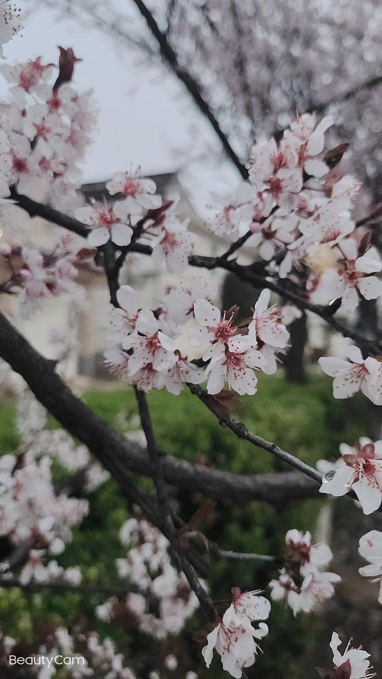 常熟市碧溪街道郭燕萍服装经营部的小店