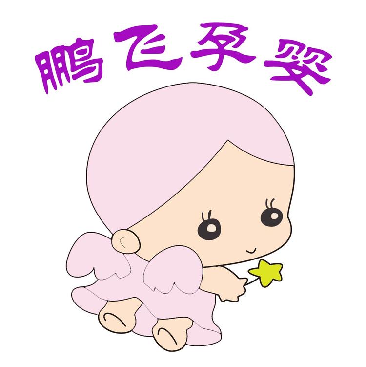 鹏飞孕婴