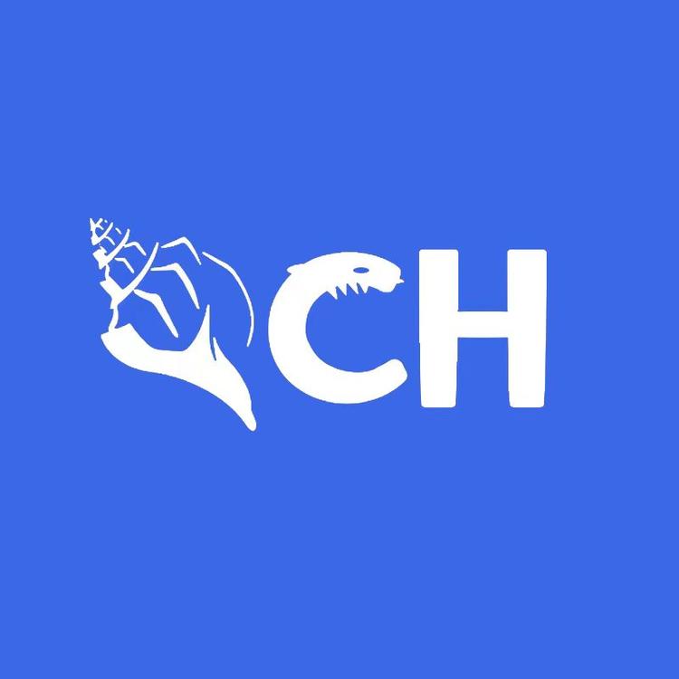 沧海一贝