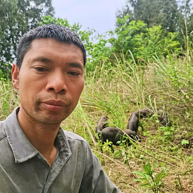 柏欣熟食散养跑山猪
