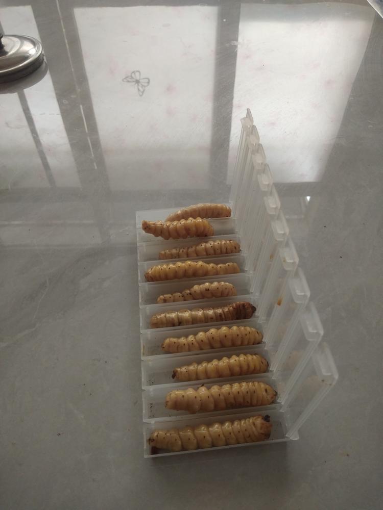 闫而有信