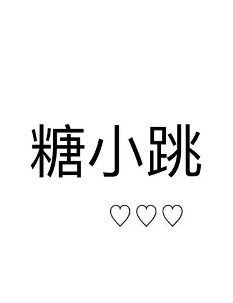 糖小跳童装个体店