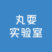 丸耍实验室
