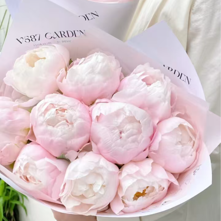 菏泽鲜花