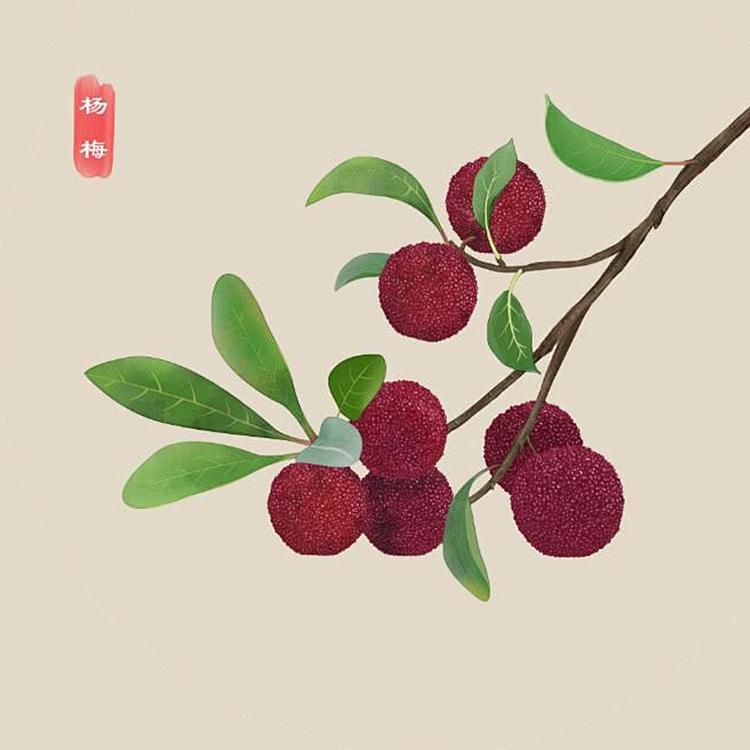 园昊专营店
