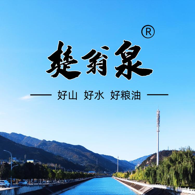 楚翁泉粮油企业店