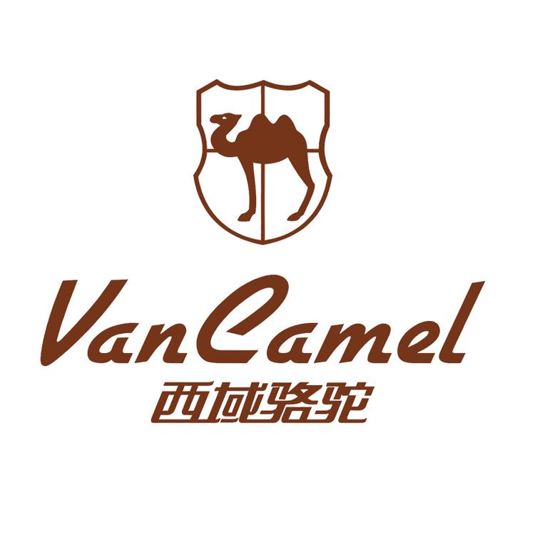 西域骆驼元直男鞋专卖店