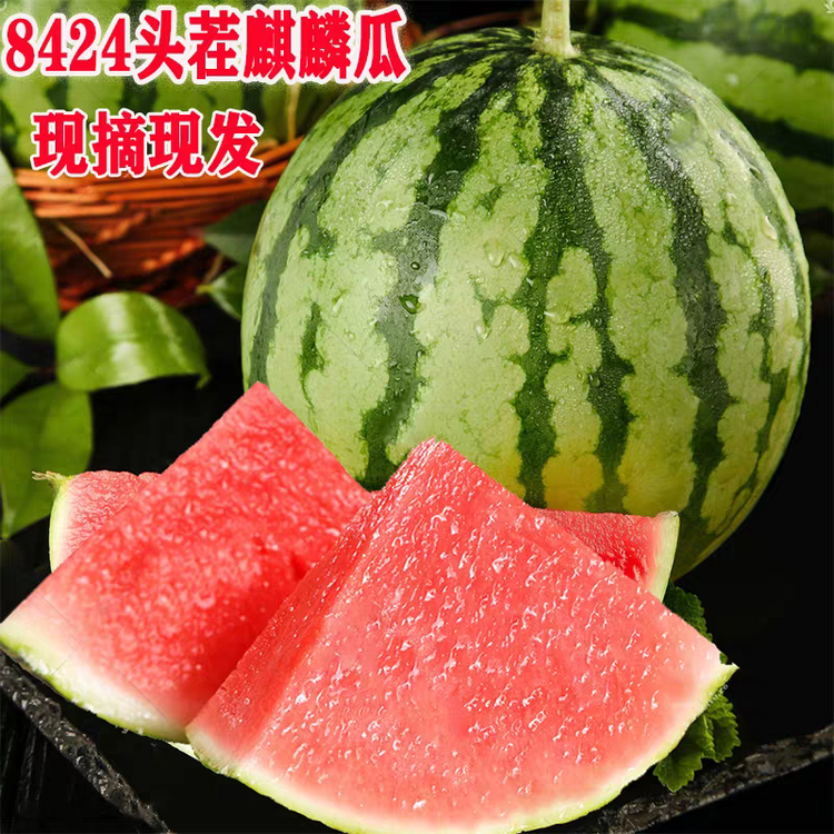 你我皆是蒸蒸日上