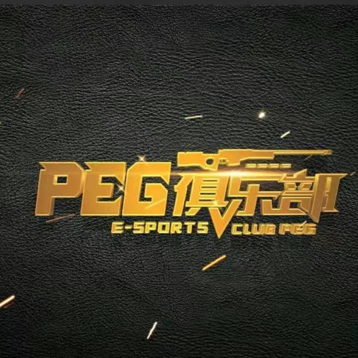 PEG游戏交易店