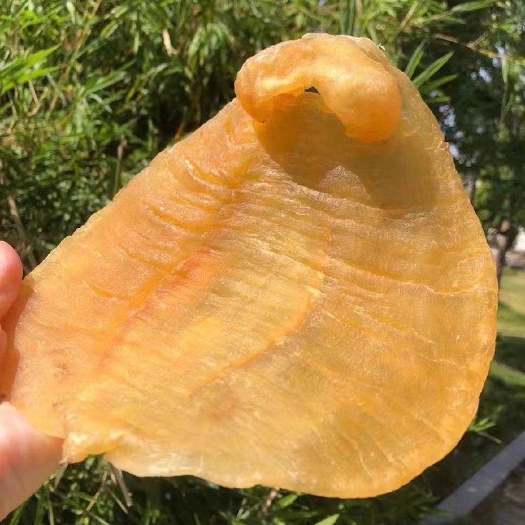 胶好友