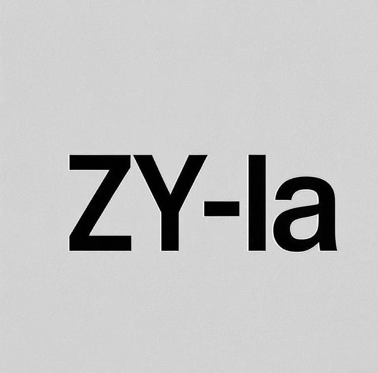 ZYla芭蕾舞服