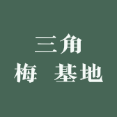 三角梅 基地
