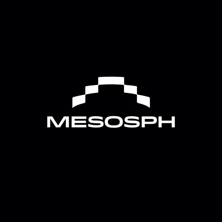Mesosph服饰旗舰店