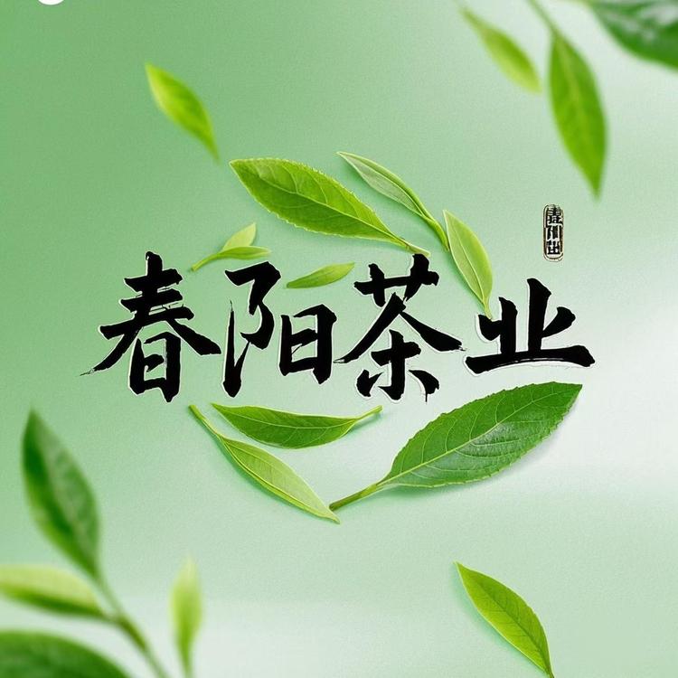 春阳茶业