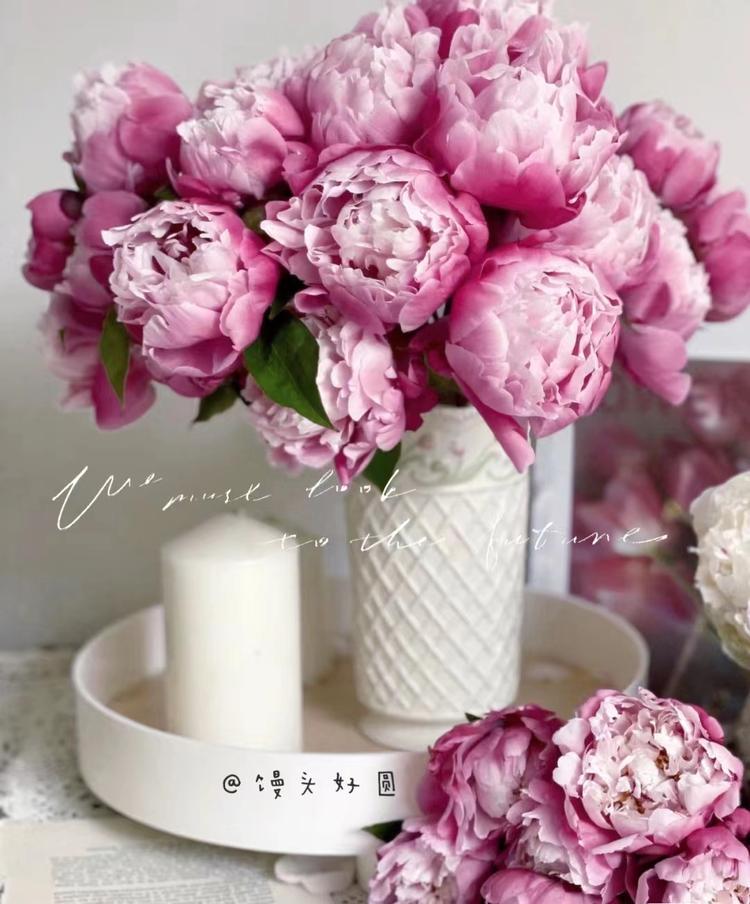 山东菏泽甲天下花卉