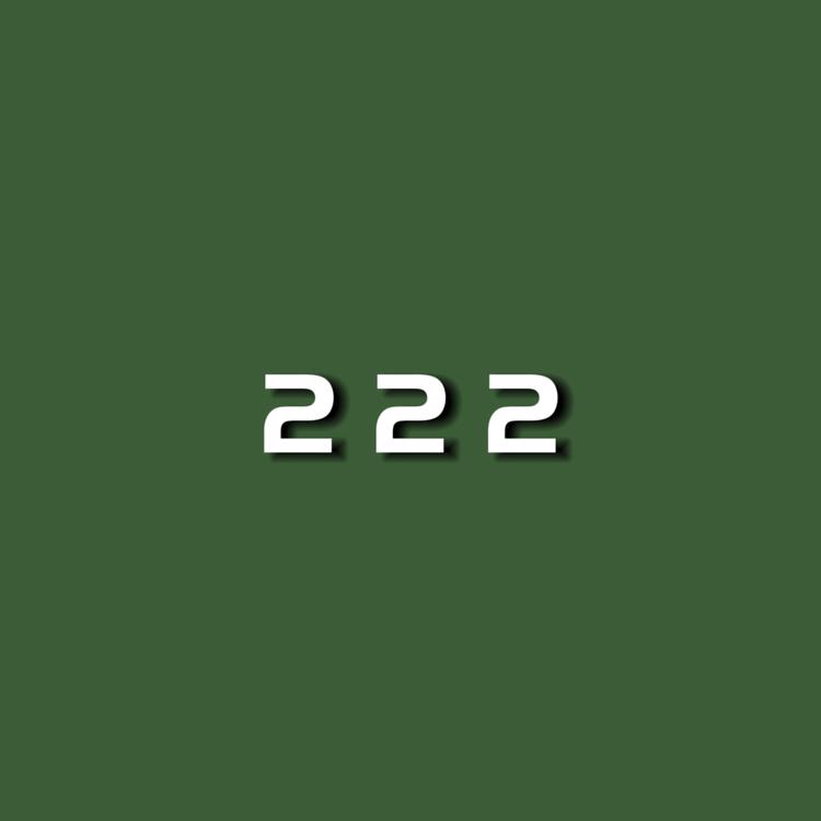 222藏装店