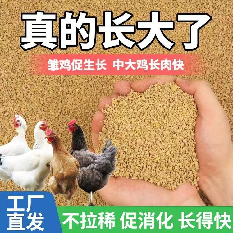 婆罗门种鸡场
