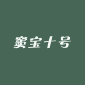 窦宝十号