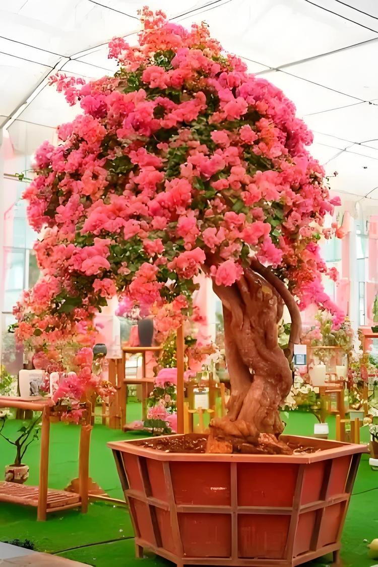 大佬李宜人花卉