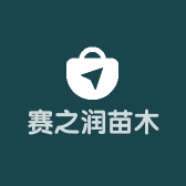 赛之润苗木