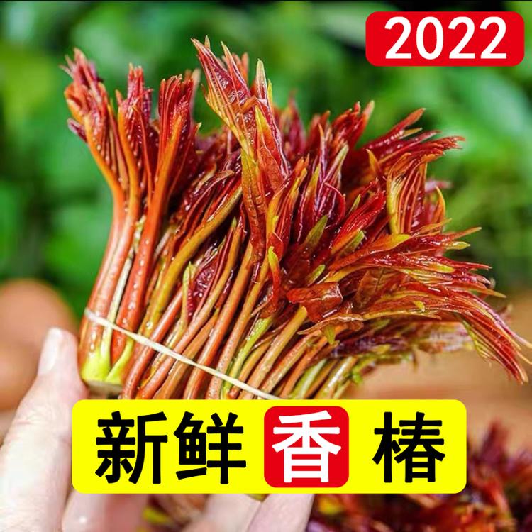 尉氏县恒琦轩蔬菜水果店的小店个体店