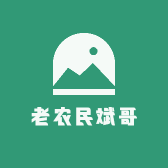 新疆老农民斌哥特产干果店
