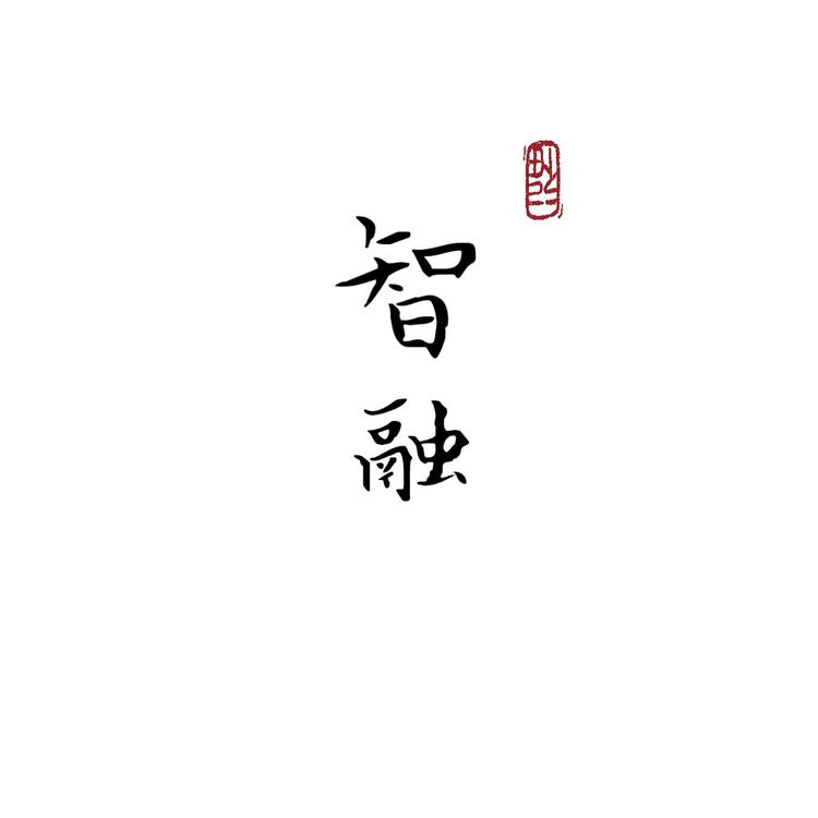 智融专营店