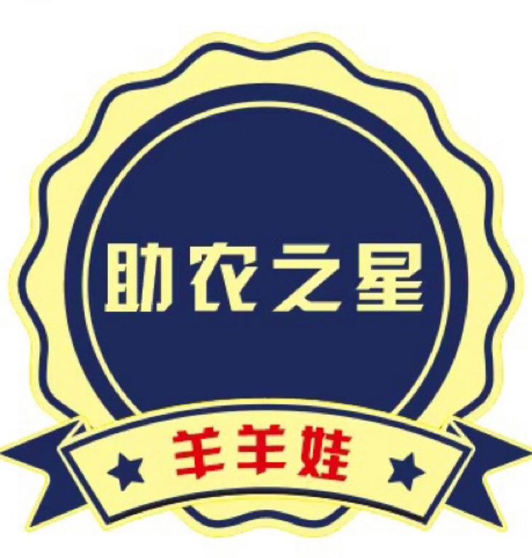 西北村知书助农店