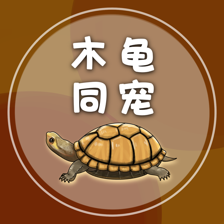 童台木同龟宠