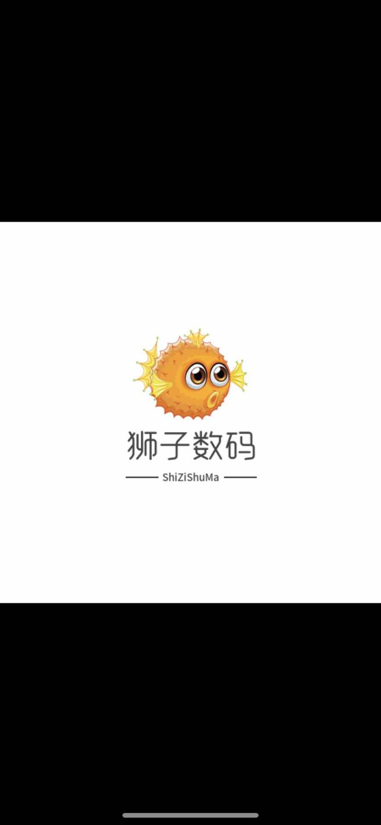 吕梁市离石区狮子数码经销部的小店