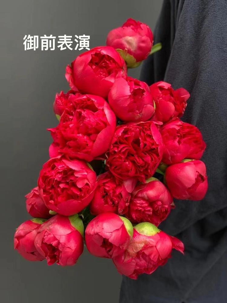 菏泽北读鲜花原产地