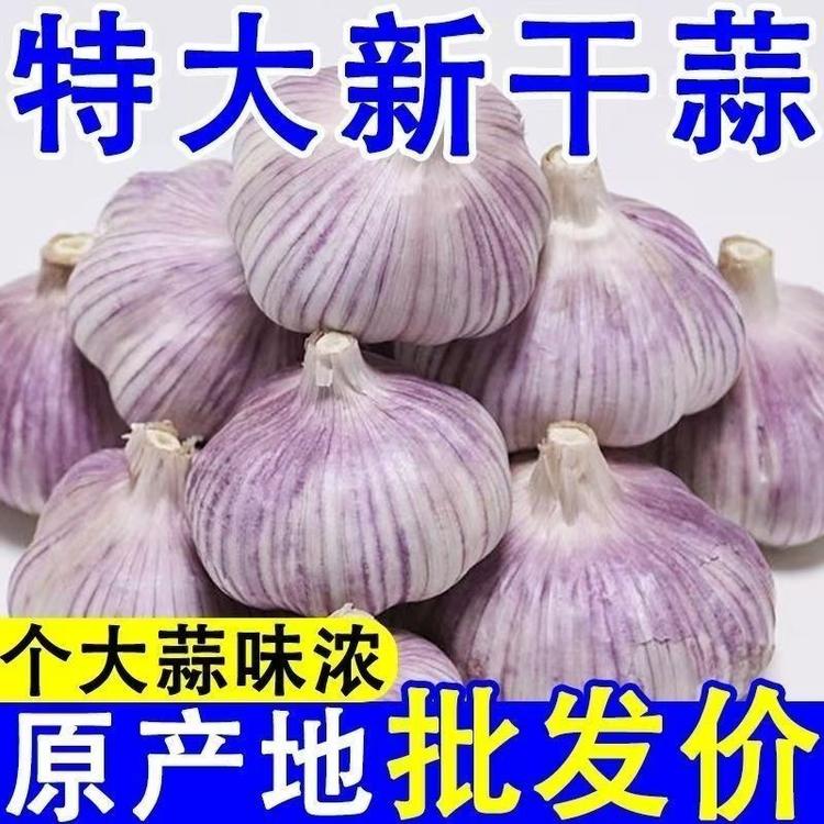 鼎硕生鲜店