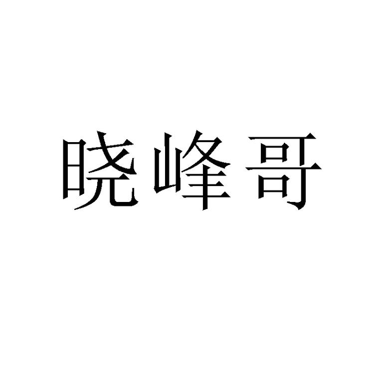 晓峰哥恒丰电子专卖店