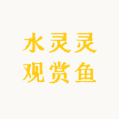 水灵灵观赏鱼