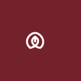 麦兜兜大码优选