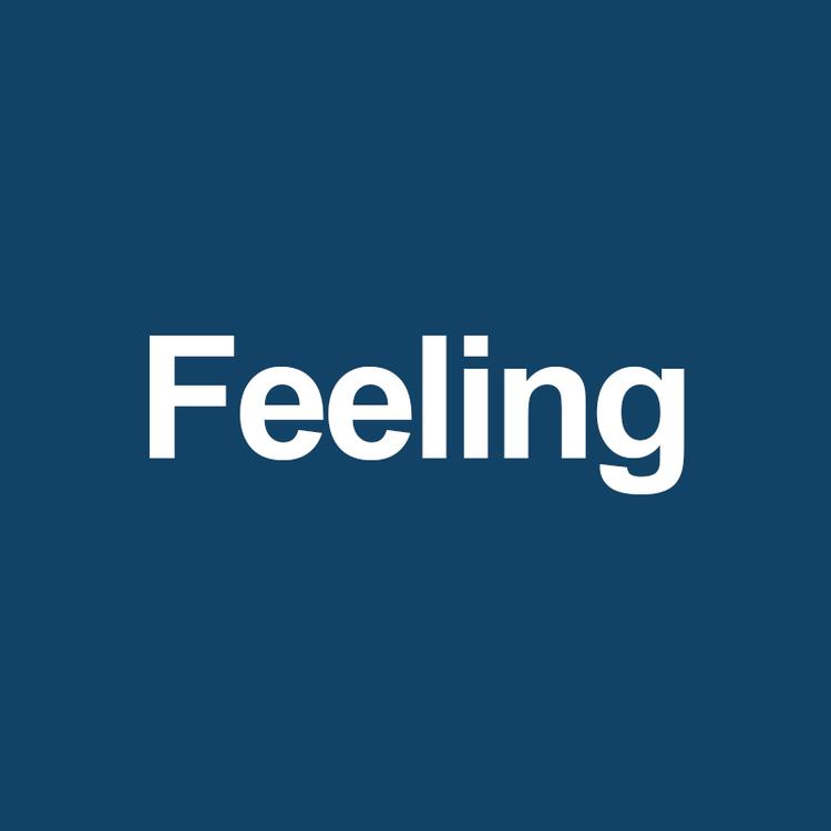 Feeling饰品