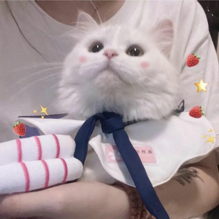 柚子酱ii的小店