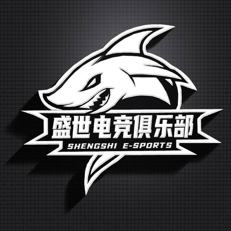 桓仁盛世电竞游艺优品店