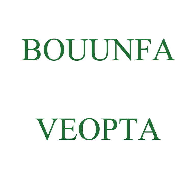 BOUUNFA VEOPTA鑫鞋类专卖店