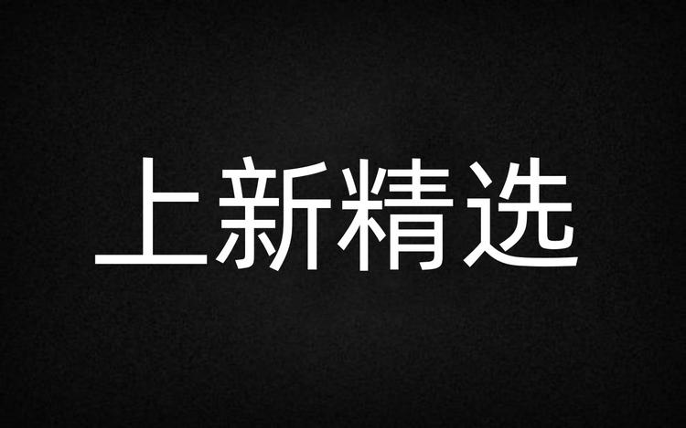 上新精选个体店